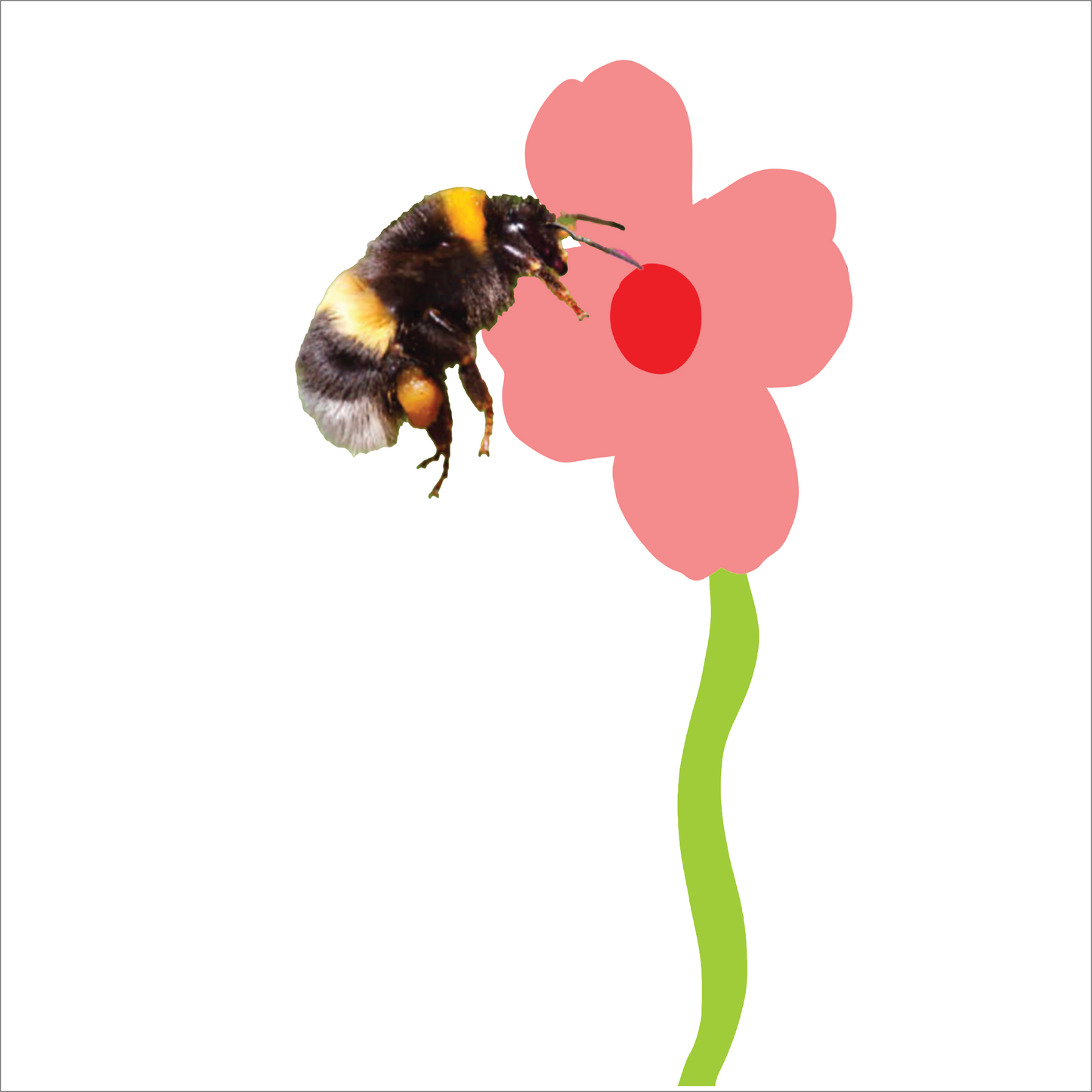 Bee and Flower